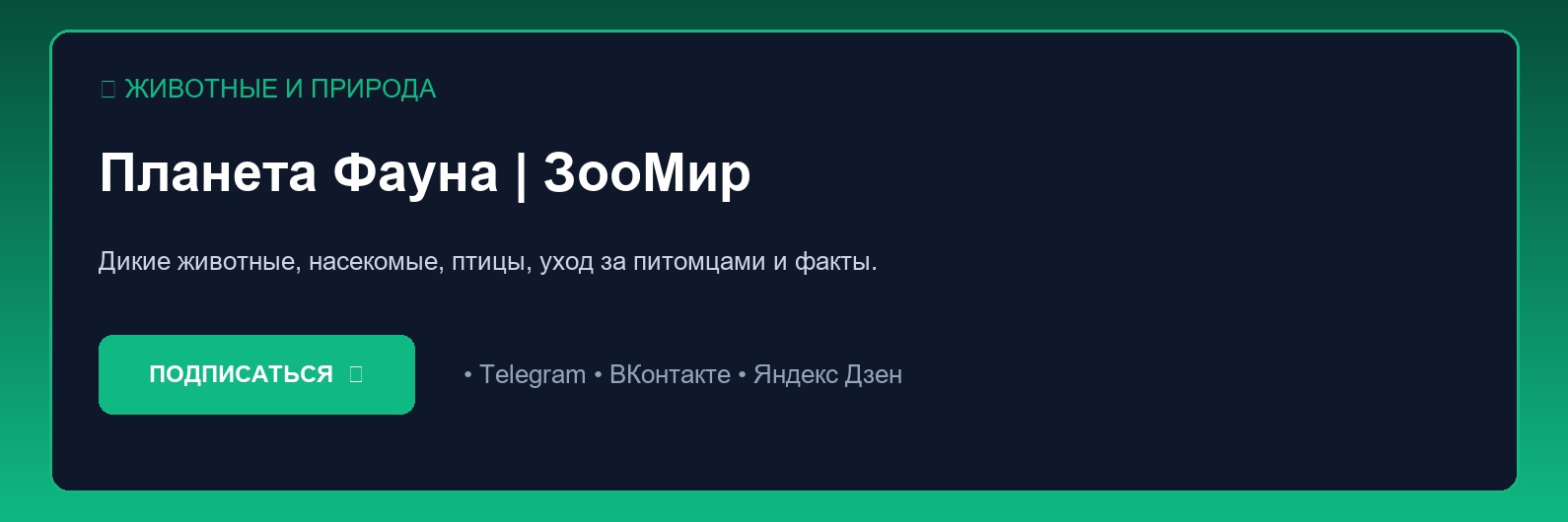 Крупнейшие хищники планеты: повадки белых медведей, тигров и африканских львов