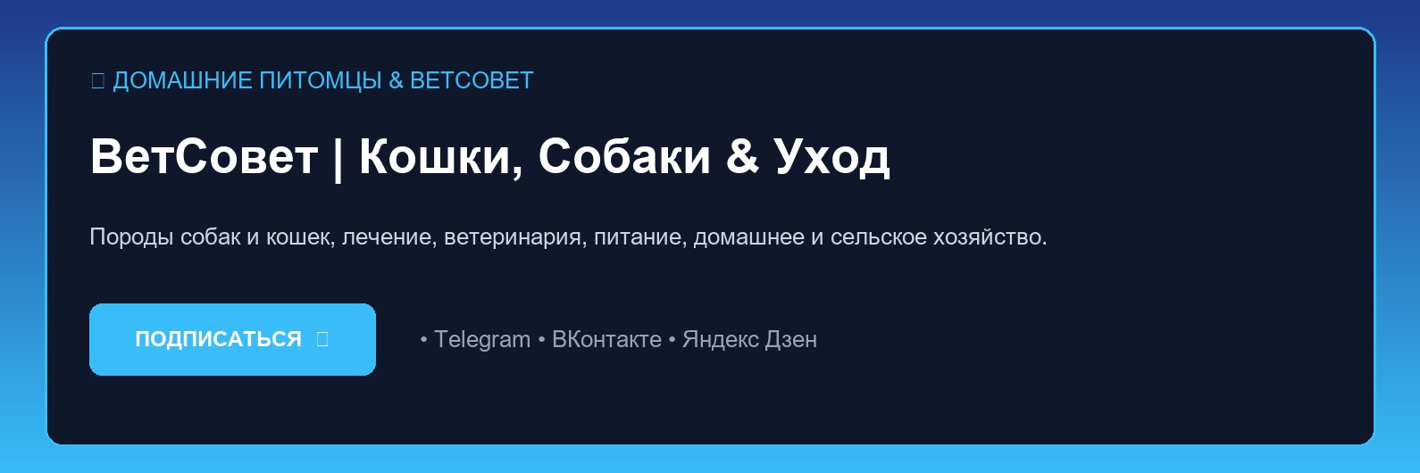Правильное натуральное и сухое кормление собак: баланс белков, жиров и витаминов